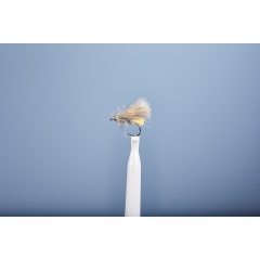 Sedge Fly JMC ZC 52 BL H16