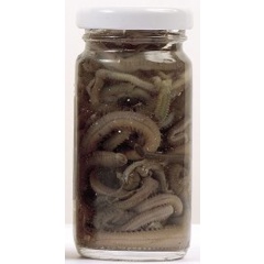 Cebo natural en lata Grauvell para