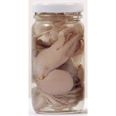 Cebo natural enlatado Grauvell Pulpo