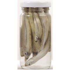 Cebo natural en lata Grauvell Fundiciones