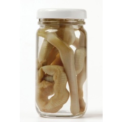 Cebo natural en lata Grauvell Bibis