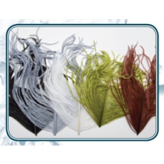 Plumas JMC Avestruz Marrón