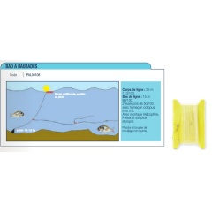 Bao en Daurades Kerfil