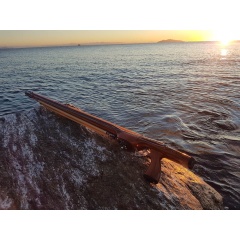 Arbalète Teaksea Beam Neutron 85