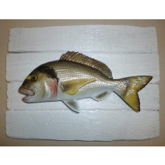 Escultura Sueño de mar real en marco