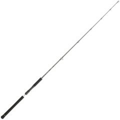 Canne Spinning Daiwa Legalis Jigging