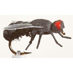 JMC Earth Fly JMC House Fly H12