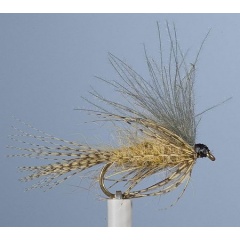 Mosca emergente del JMC 6 de mayo H12