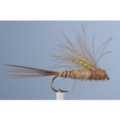 JMC Mosca emergente 7 de mayo H10