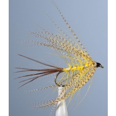 JMC Mosca seca efímera JMC 4 de mayo H10