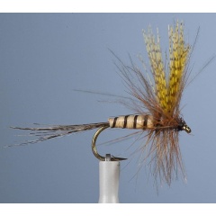 JMC Dry Fly JMC Mayo 36 H12
