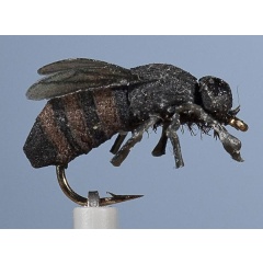 La mosca terrestre JMC Taon H10