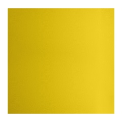 Almohadilla Eva 5MM 50x50cm Amarillo