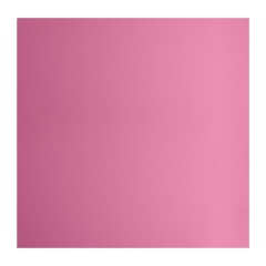 Almohadilla Eva 5MM 50x50cm Rosa