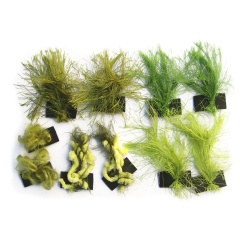 Kit de decoración Capucha anti medusas Pikotech Infinity Green Hood