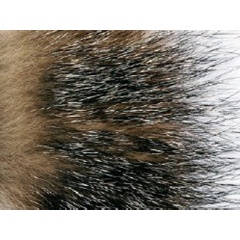 JMC Hair JMC Red Fox