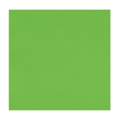 Plaque de PVC Paddle Kayak 50x50CM Vert