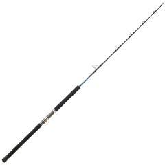 Caña spinning Daiwa Saltiga