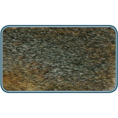 JMC Ardilla en la piel