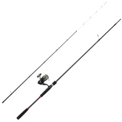 Kit de pesca tenya Daiwa Legalis