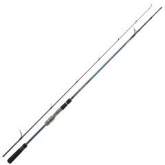 Caña spinning Daiwa Tournament AGS