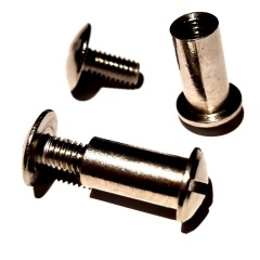 Vis Hublot Denty Spearfishing Inox