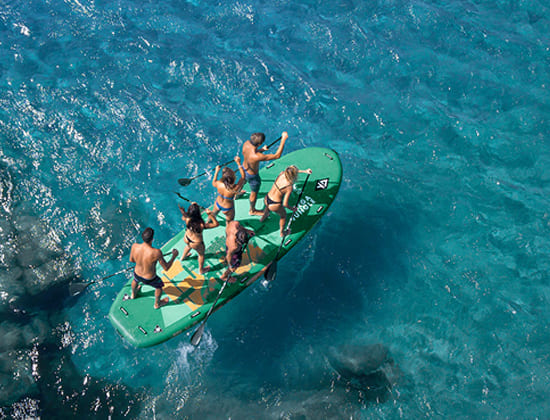 paddle surf xxl aquatone jungle