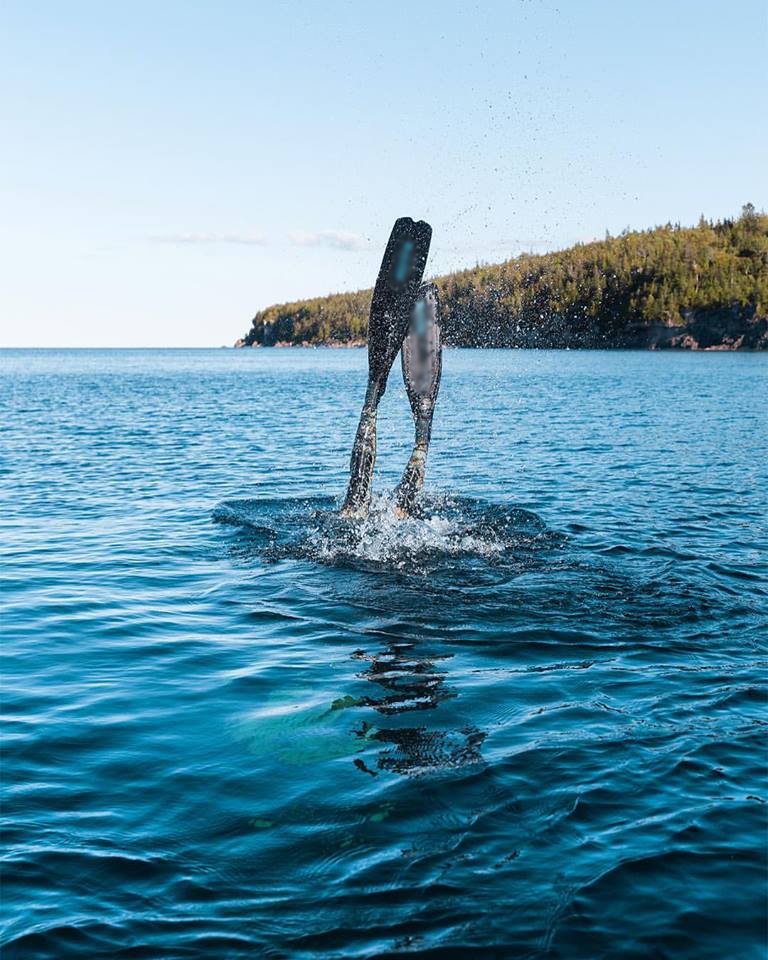 riffe eleccion aletas 2