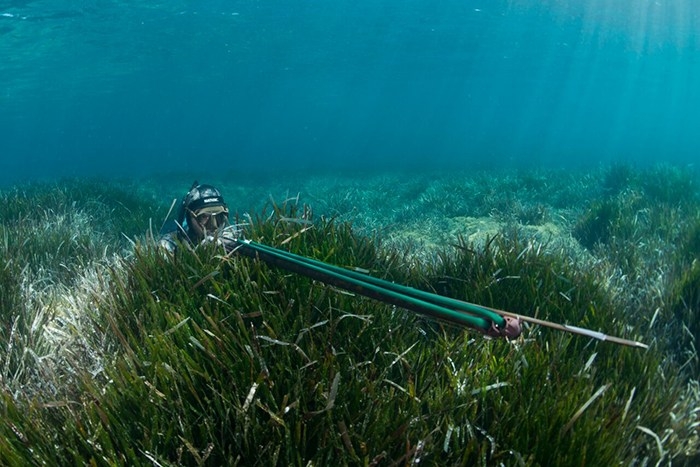 fusil para la pesca x fire seac 1