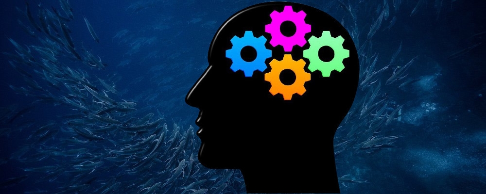 pesca submarina estimulacion intelectual