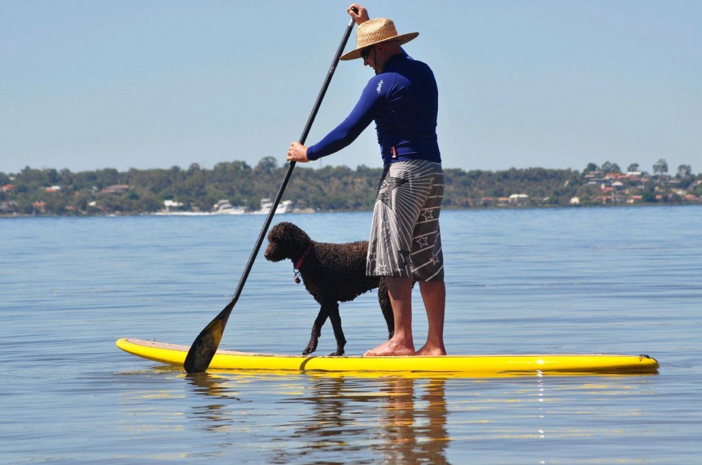 sup con perro insolito