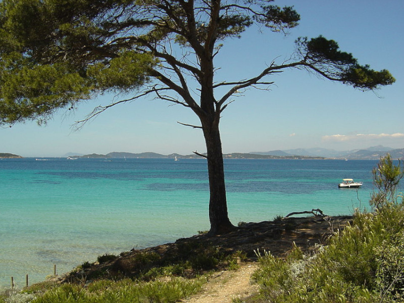 paddle surf porquerolles