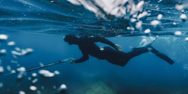 fusil pesca submarina