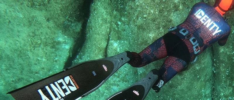 denty spearfishing Denty Spearfishing