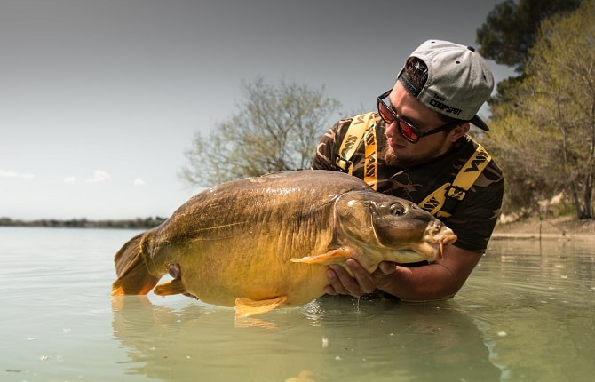 Deeper pour la pêche à la carpe