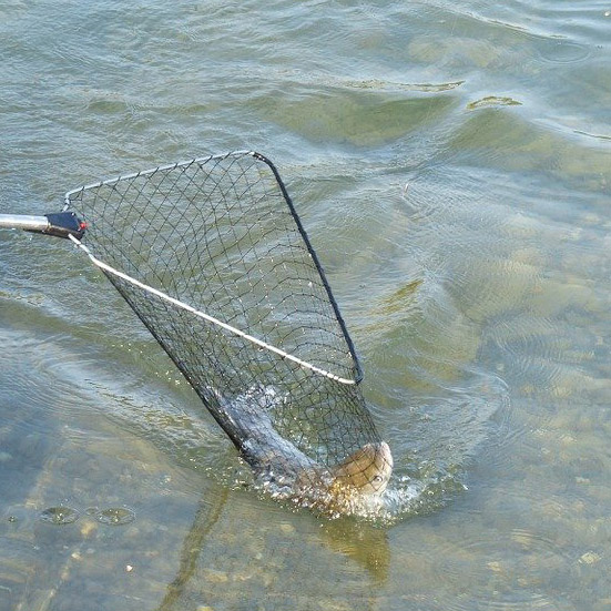 pack pato pesca sacadera