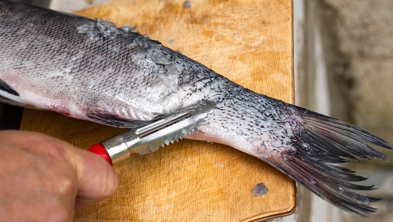 raspador de pescado escarificador de pescado