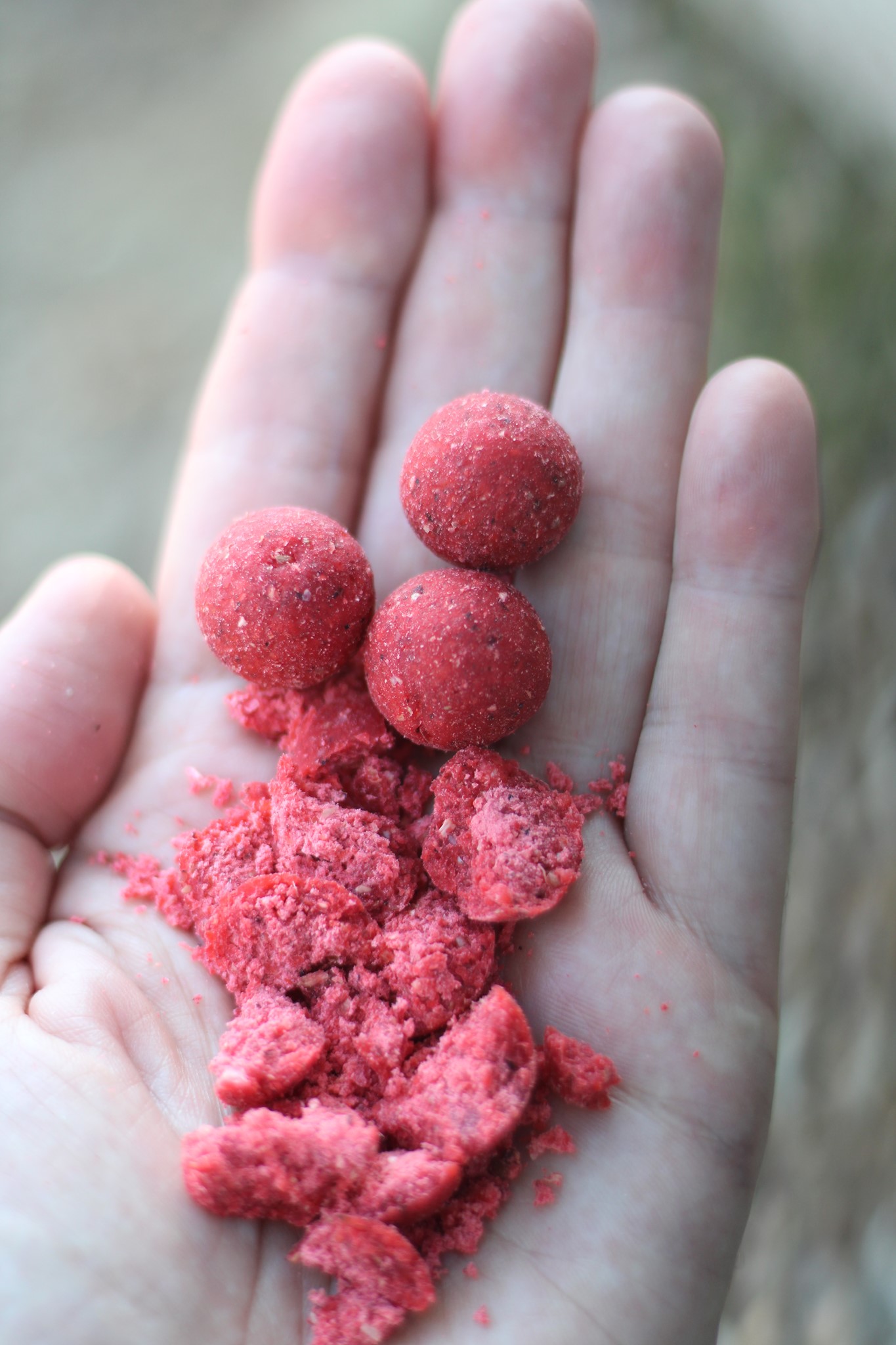 Boilies rojos