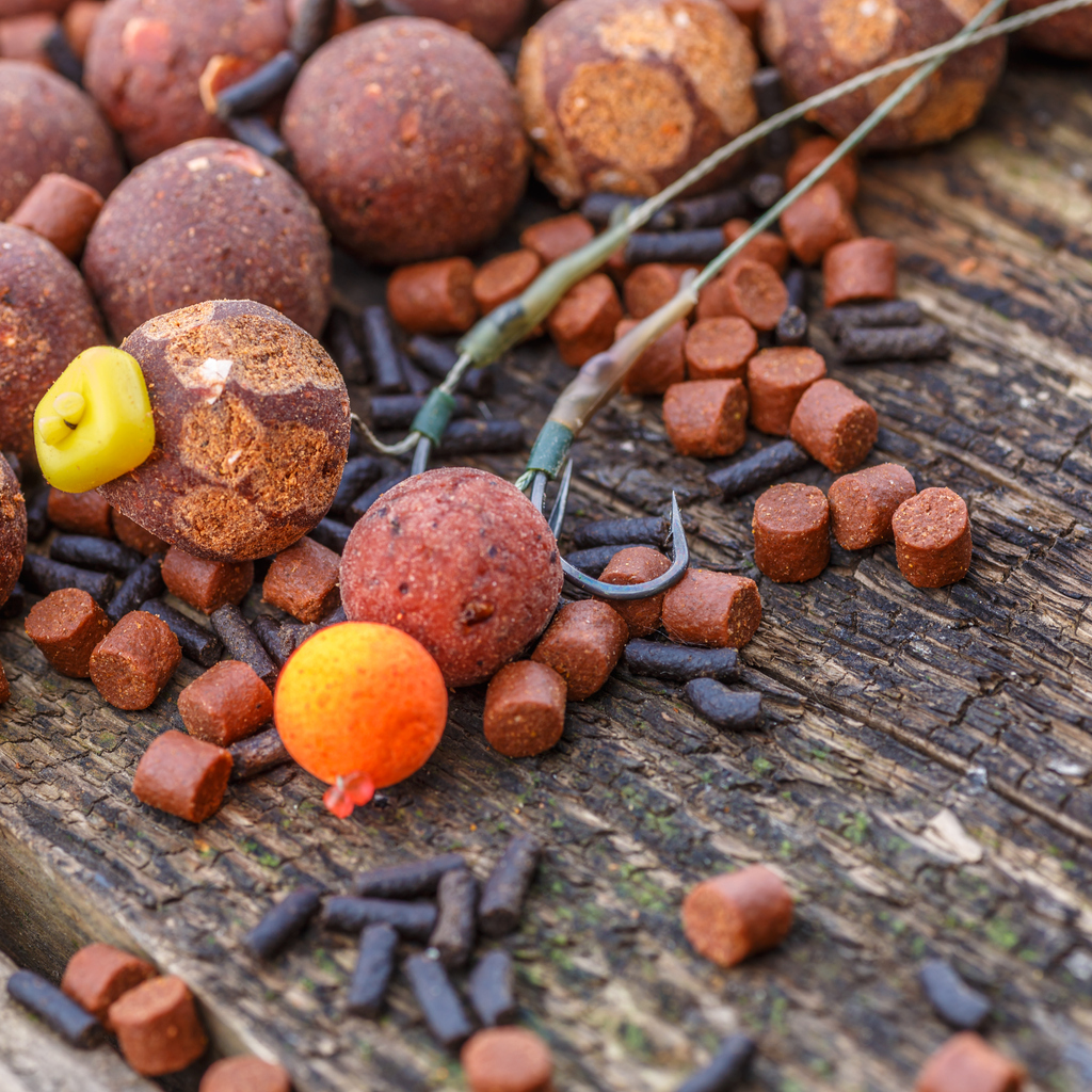 Boilies, semillas Cebo y carnada carpfishing