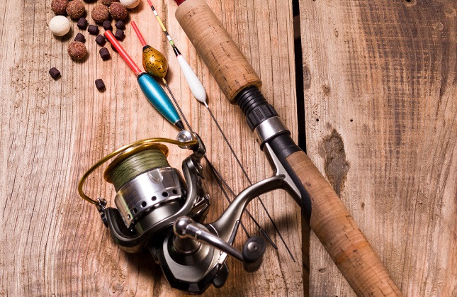 canne carpe canne carpe