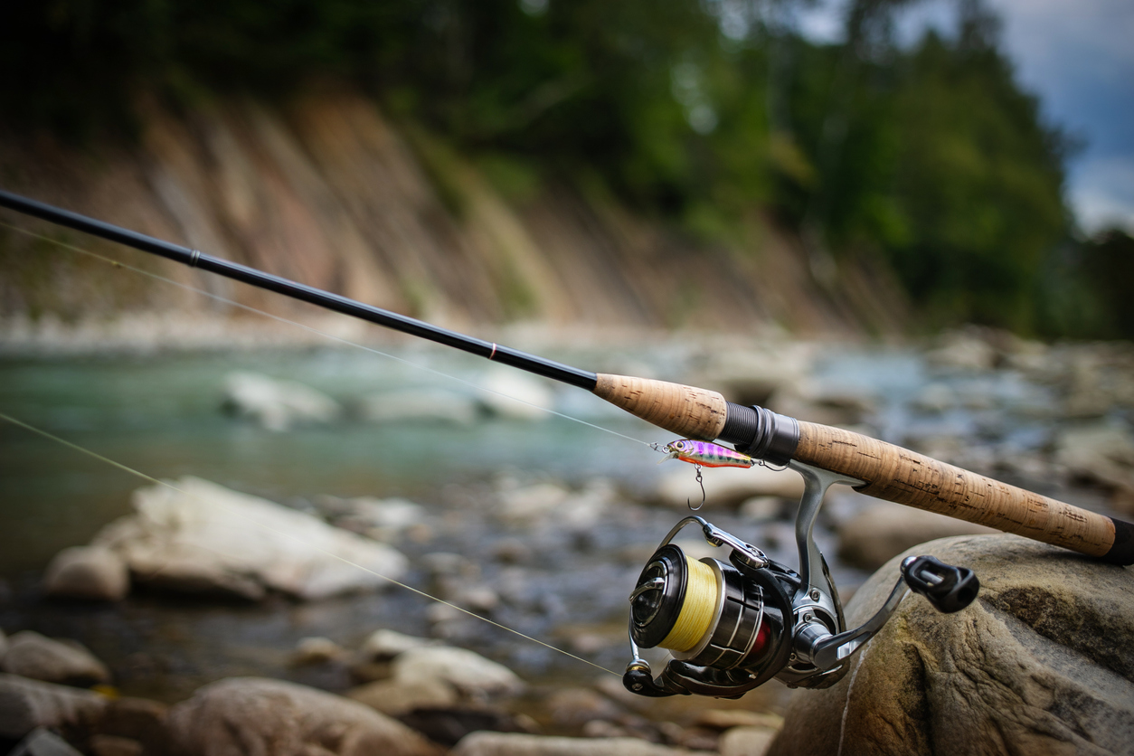 Caña spinning mango de corcho Caña de pesca para pesca spinning