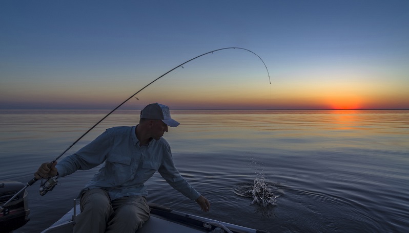 bajo de línea Bajo de línea
