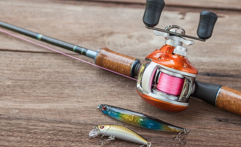 set depredadores conjunto depredadores