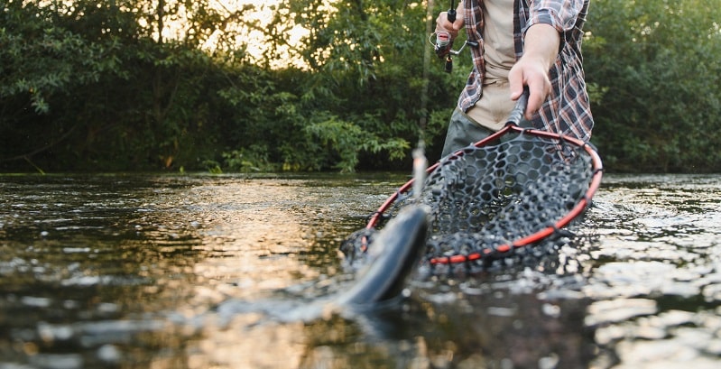 Sacadera para depredadores