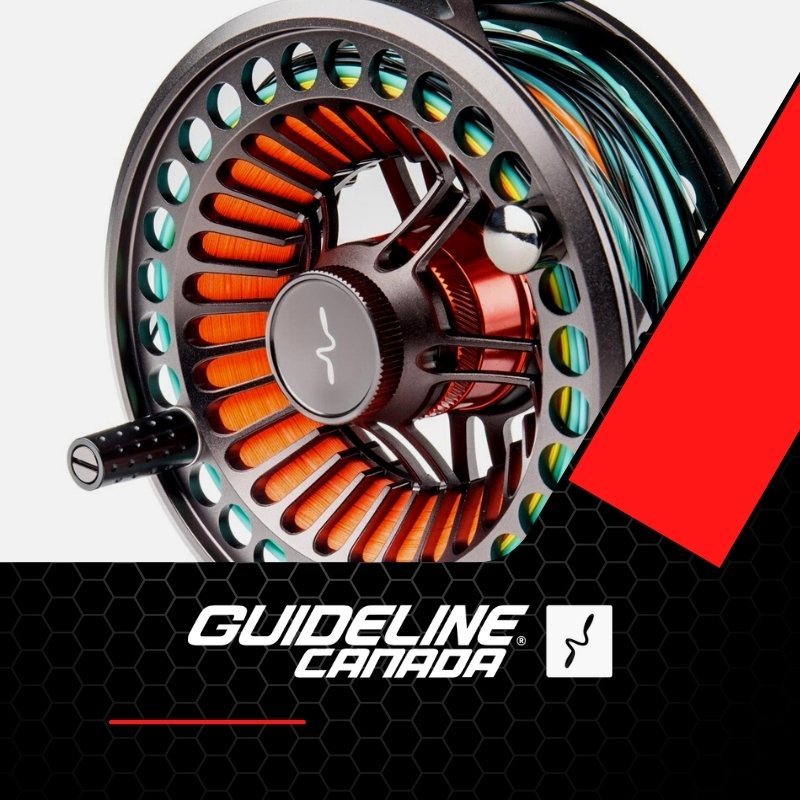 Moulinet carpe Guideline