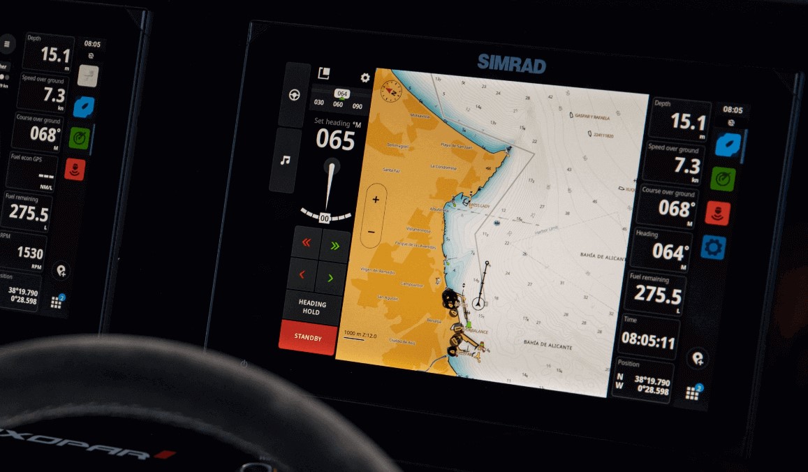 Buscador de peces simplificado