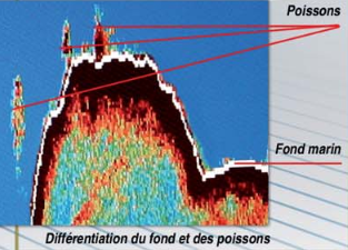 Pantalla de alta resolución