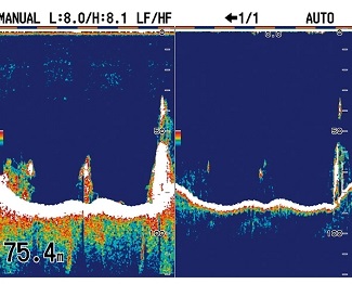 Función de imagen lateral