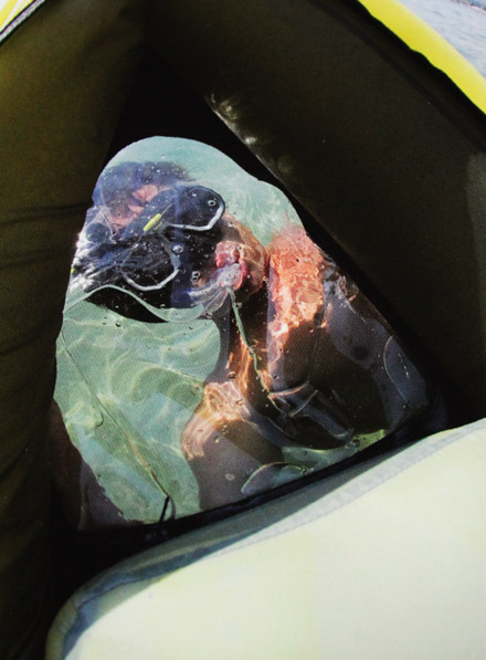 Ventana en el suelo transparente